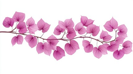 Canvas Print - Delicate Pink Bougainvillea Branch Isolated on White