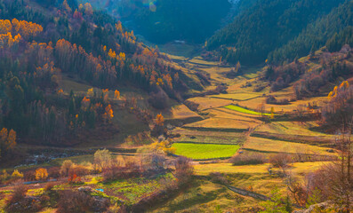 Autumn Colorful landscape with colorful tree - Maden Village valley, Savsat, Artvin