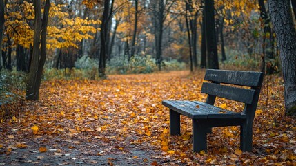 Wall Mural - Autumn park with bench and maple leaves