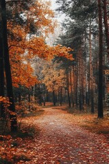 forest path covered with fallen leaves leading through autumn trees