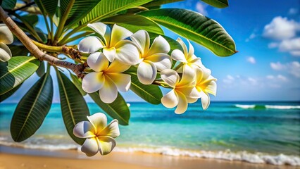 Tropical beachfront with closeup of asymmetrical frangipani plumeria flowers