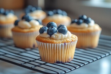 Freshly baked blueberry muffins cooling on a wire rack