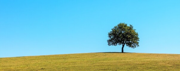 Wall Mural - Lone tree on a grassy hill under a clear blue sky, serenity and nature concept