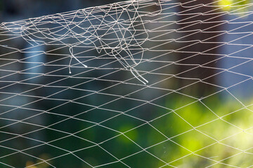 Wall Mural - Woven net against the backdrop of nature in summer