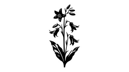 Bluebell flower silhouette vector illustration.