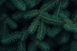© Aleksandra Konoplya - Dense Lush green pine tree branches, natural textured pattern, dark moody winter nature background. Evergreen needles, seasonal holiday, Xmas, Noel. Christmas concept backdrop.