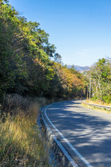 Sticker - The asphalt road leads down between the hill and the trees. Bright morning sun