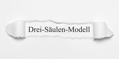 Poster - Drei-Säulen-Modell	