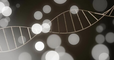 Poster - animation of white spots over dna strand