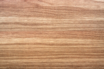 Poster - Wood texture with natural pattern for design and decoration