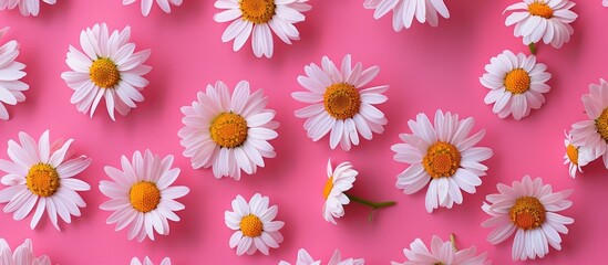 Aufkleber - Chamomile flowers displayed on a vibrant backdrop in a flat lay style ideal for a template or mockup with available copy space image