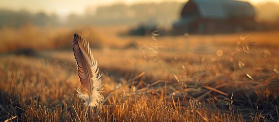 Aufkleber - Photo of a farm scene with a feather from an animal in focus set against a blurred background ideal for copy space image