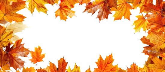 Poster - Autumn leaves form a frame against a white background leaving room for a copy space image