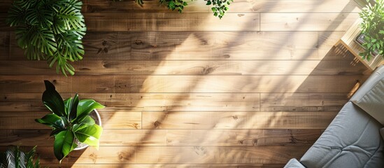 Canvas Print - Aerial perspective of a plant decoration on a living room table with blank area for more images. Creative banner. Copyspace image