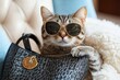 © ChaoticMind - A cool cat with stylish sunglasses is leaning on a black handbag, displaying an aura of effortless elegance and sophistication, perfect for feline fashion enthusiasts.