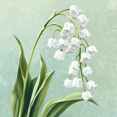 Wall Mural - vector graphic of a white lily of the valley flowers