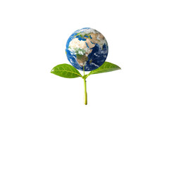 A green plant emerges from soil with a globe resting on its leaves, symbolizing environmental sustainability and global responsibility for nature