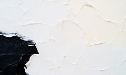 A close-up shot of black and white paint strokes on a canvas