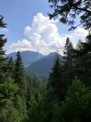 Canvas Print - Mountain view through lush pine trees