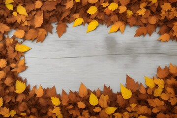 Dry Leaves Isolated on White Background