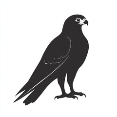 Wall Mural - Black silhouette of a falcon, a bird of prey known for its speed and agility.