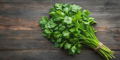 Artfully arranged bunch of cilantro leaves on background , cilantro, herbs, fresh, green, cooking, ingredient