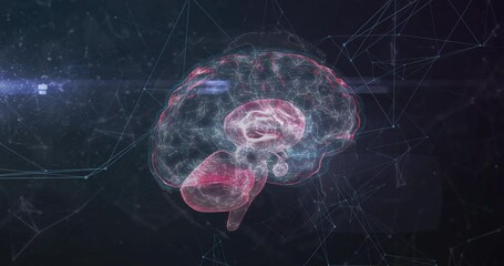 Wall Mural - Animation of digital brain with network of connections on black background