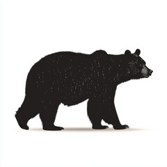 Poster - Silhouette of a black bear walking on a white background.