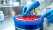 © Jenjira - A scientist carefully placing samples in a red culture dish within a laboratory setting, showcasing precision and research.