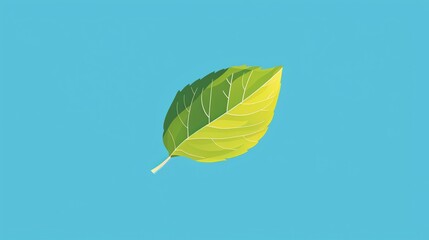 A single green leaf on a blue background.