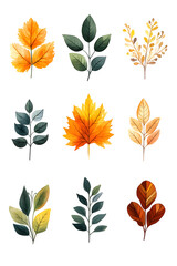 Wall Mural - Set of autumn colorful hand drawn leaves isolated on white