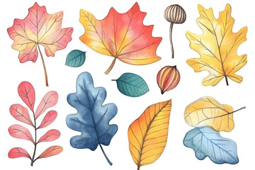 Wall Mural - Hand drawn autumn collection of colorful plants and leaves isolated on white background