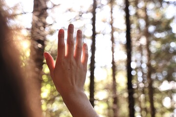 Poster - Young hiker enjoying time in forest on sunny day, closeup. Space for text