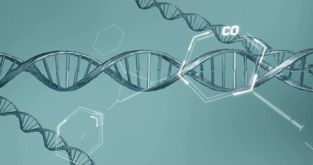 Wall Mural - Animation of scientific data processing over dna strands spinning