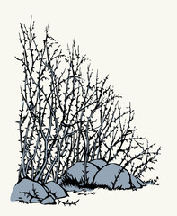 Sticker - Vector drawing. The thorn bushes