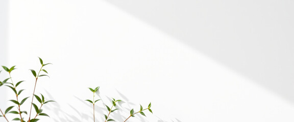 Wall Mural - White Background with Green Leaves and Shadow