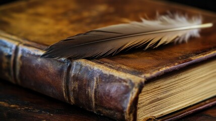 A Quill Pen Resting on an Antique Book