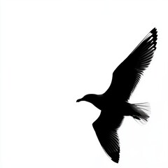 Wall Mural - Silhouette of a seagull in flight against a white background.