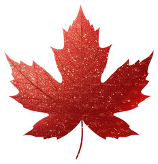 Poster - PNG PNG Red maple leaf icon plant shape tree.