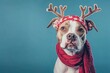 © Margarita Vais  - portrait pitbull dog in headband with deer antlers and red scarf on blue background with copy space