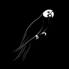 Canvas Print - White silhouette of a parrot on a black background.