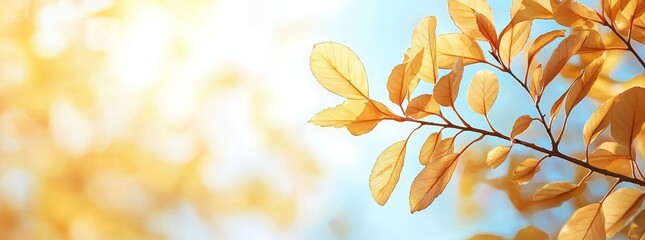 Poster - An autumn park with yellow, red, and orange leaves
