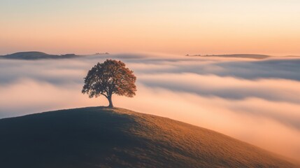 A lone tree standing tall on a hill, surrounded by a vast sea of mist that stretches out to the