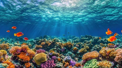 Sunbeams shine through the clear blue water revealing a vibrant coral reef teeming with colorful fish.