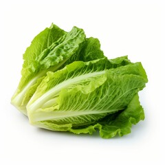 Wall Mural - Fresh romaine lettuce with vibrant green leaves on a clean background ready for salad preparation