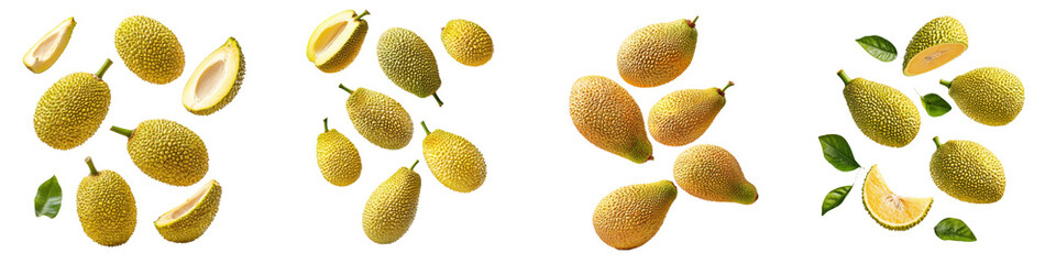 falling ripe jackfruits on white background, full depth of field,transparent background