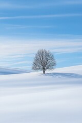 Wall Mural - A lone tree in a vast, open field of pure white snow 