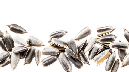 sunflower seeds isolated on white background