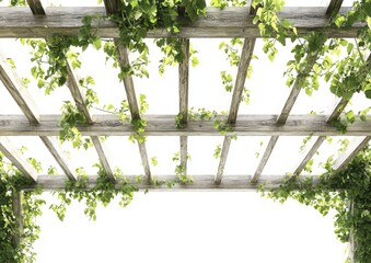 Poster - Created using green leaves, this frame is lush and natural