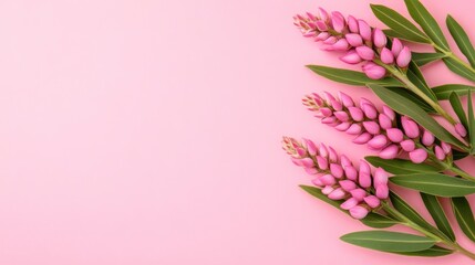 Poster - Pink Flowers on a Pink Background